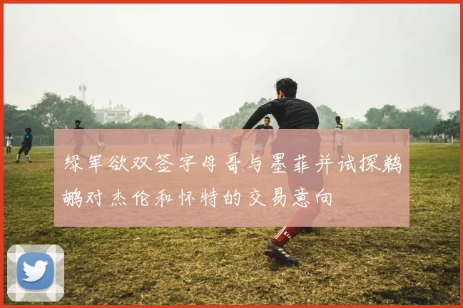 绿军欲双签字母哥与墨菲并试探鹈鹕对杰伦和怀特的交易意向